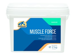 Muscle force 2 kg