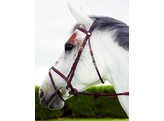 EC.Bridle Comb.Noseband Black Cob