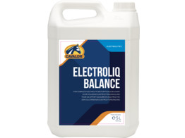 Electroliq balance 1000 ml