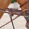 DC.Draw Reins Brown Pony