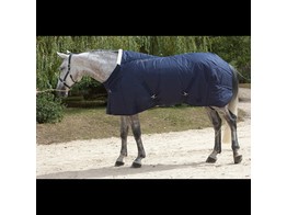 Dy on Winter Stable Rug