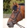 WC.Flash noseband bridle  brown  pony