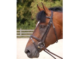 Dyon WC. Flash Noseband Bridle