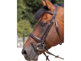 WC.Large flash noseb.bridle comf.close  brown  full