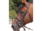 WC.Large flash noseb.bridle comf.close  black  pony