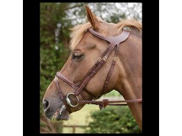 Diff.C.Bridle Comb.Noseband Brown Pony