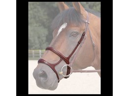 NEC.Double noseband cavesson drop  black  cob