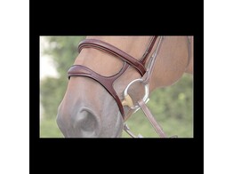 Dyon DC. Double Noseband Cavesson   Drop