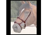 NEC.Double noseband cavesson drop  brown  pony