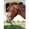 DC.Double Bridle Comb.Noseband Black Full