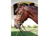 DC.Double Bridle Comb.Noseband Black Full