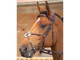 Dy on D.C. Mexican Noseband Bridle