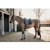 Dressage Saddle Pad Black