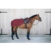 Riding rug bordeaux 160 gram medium