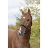 Headcollar without buckles black Cob