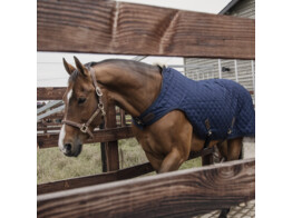 Walker rug navy 155-6 9 160 gram