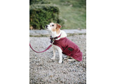 Dog coat original bordeaux small medium 42