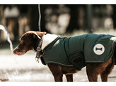 Dog coat waterproof olive green xs 31