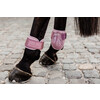 Young Horse fetlock boots old rose S