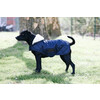 Dog coat original navy Dachshund 40cm