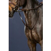 Running martingale brown cob D collection