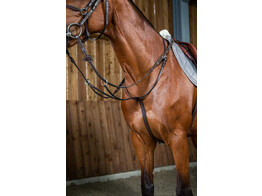 Dy on W.C. Running Martingale