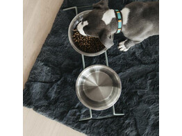 Dog Bowl comfort feeder dusty green M 2x 1 56L 21 8cm