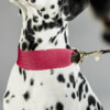 Dog collar Jacquard pink L 62cm