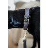 Dog Collar wool grey  XXS 18-26cm