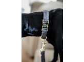 Dog Collar wool grey  XXS 18-26cm