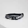 Dog Collar Zebra L 42-68cm