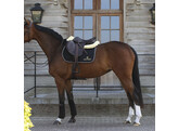 Saddle Pad Black-White-Brown