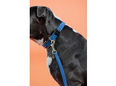 Plaited Nylon Dog collar light blue M 50cm