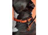 Plaited Nylon Dog collar orange XS 37cm