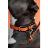 Plaited Nylon Dog collar orange S 42cm