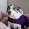 Dog coat original royal purple XS