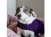 Dog coat original royal purple L