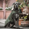 Dog coat waterproof olive green xxs 25