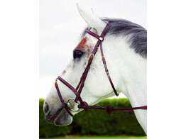Dy on E.C. Combined Noseband Bridle