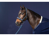 Nubuck Head collar Navy Cob NEC