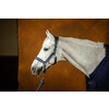 Nubuck Head collar Navy Cob NEC