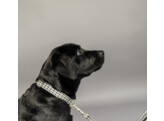 Dog Collar Pied-de-Poule brown S 28-40cm