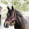 Velvet halter bordeaux cob