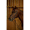 Flash noseb Bridle With Snap Hooks Black Cob WC