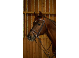 Flash noseb Bridle With Snap Hooks Black Full WC