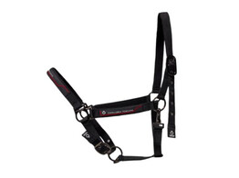 CT Adjustable Nylon Halter