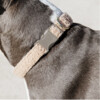 Dog collar Teddy Fleece Pine Green XXS