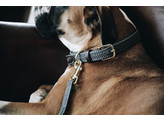 Plaited Nylon Dog collar grey M/L 58cm