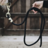 Lead rope basic brown 2m