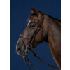 DC.Double Bridle Flash Noseband Brown Cob